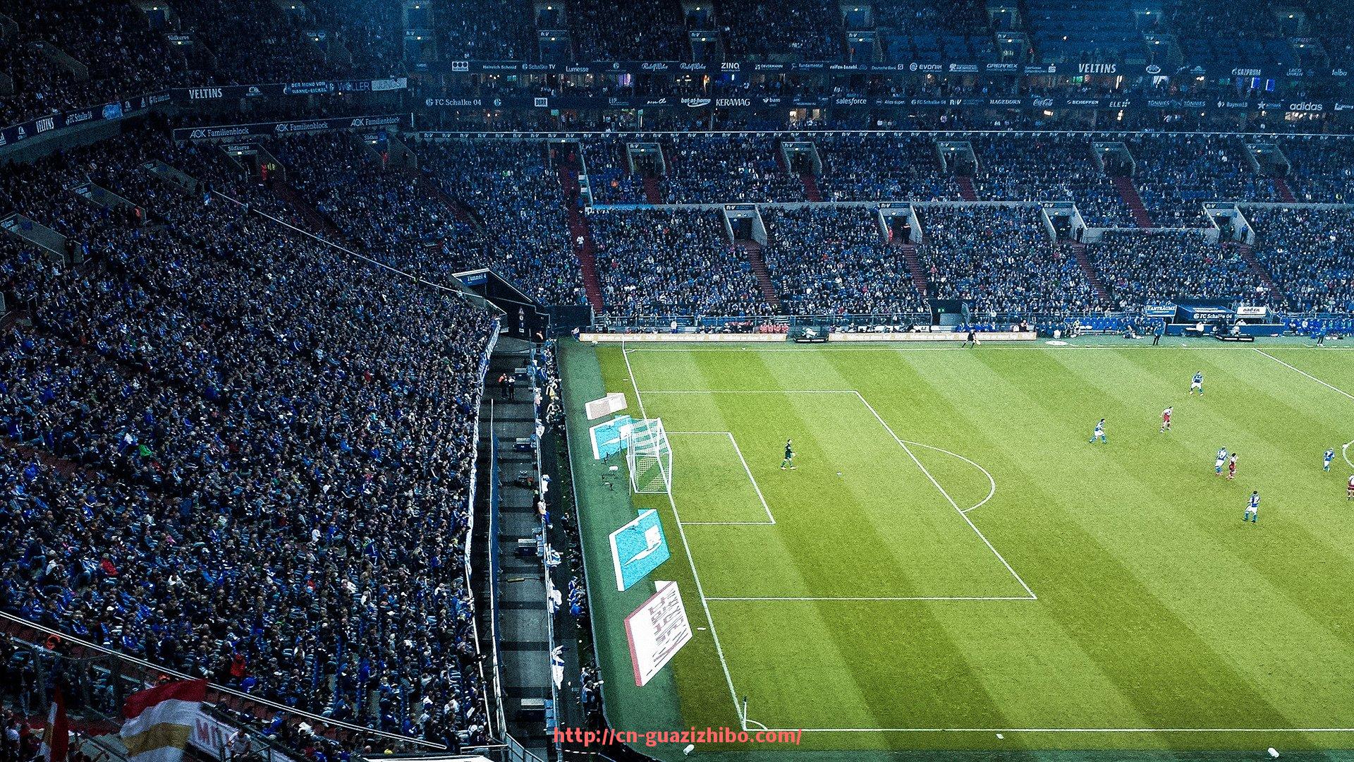 瓜子直播-综合家用健身器材价格详解及运动健身设备选择指南